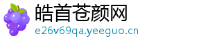 皓首苍颜网